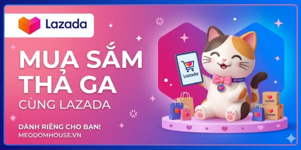 San-laz-TMDT-meodomhouse